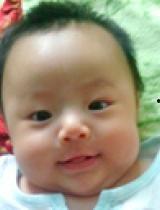 牛牛吃瓜的视频,笑料横生，带你领略田园风光