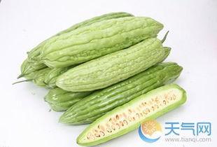 盛夏吃凉瓜视频下载,凉瓜视频下载攻略