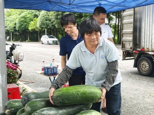 民众吃瓜视频大全下载