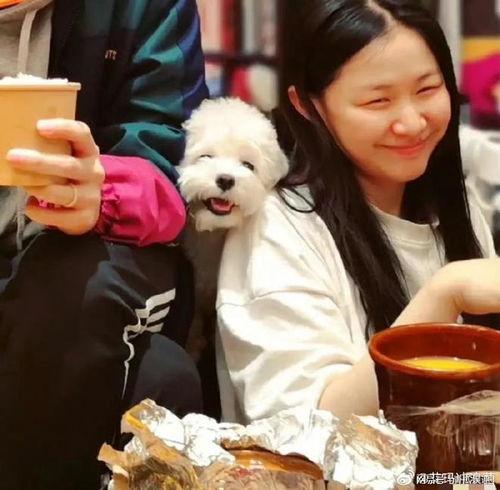 吃瓜视频头像图片男,揭秘吃瓜视频帅气男生头像背后的故事