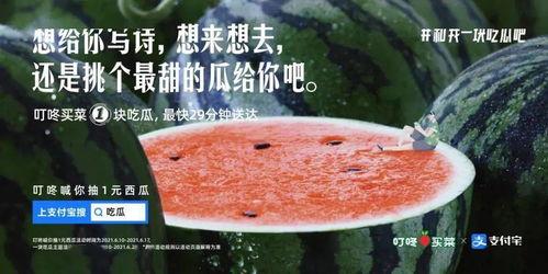 文案吃瓜视频素材,趣味与争议并存