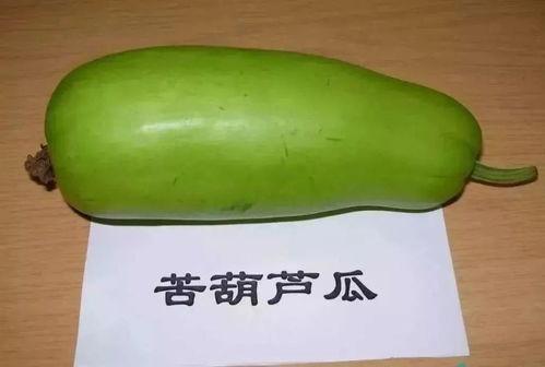 小孩吃葫芦瓜的视频教程,儿童视频教程带你轻松学做葫芦瓜佳肴