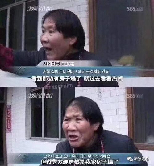 塌房子吃瓜的视频,一场视觉盛宴背后的真相