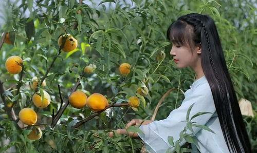 李子柒吃蜜瓜视频大全,田园生活与甜蜜时光的完美邂逅
