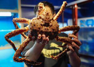 美食主播沉浸式吃瓜视频,跟随美食主播解锁瓜果美食之旅