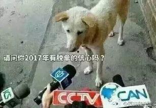 卧槽吃瓜视频大全下载,揭秘娱乐圈幕后故事