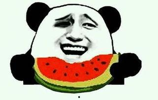 吃瓜视频轻量版,轻松追剧，畅享娱乐新体验