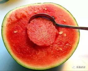 玫瑰做鬼脸吃瓜视频大全,欢乐视频大盘点