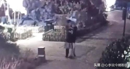 西关吃瓜事件视频,一场引发热议的网络风波