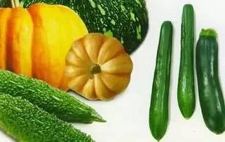 老光瓜怎么吃最好吃呢视频,视频揭秘最佳食用方法