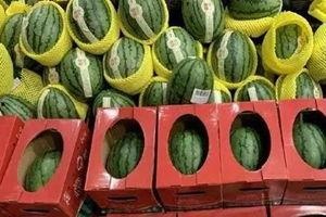 河南学生比赛吃瓜视频,趣味横生的校园竞技瞬间